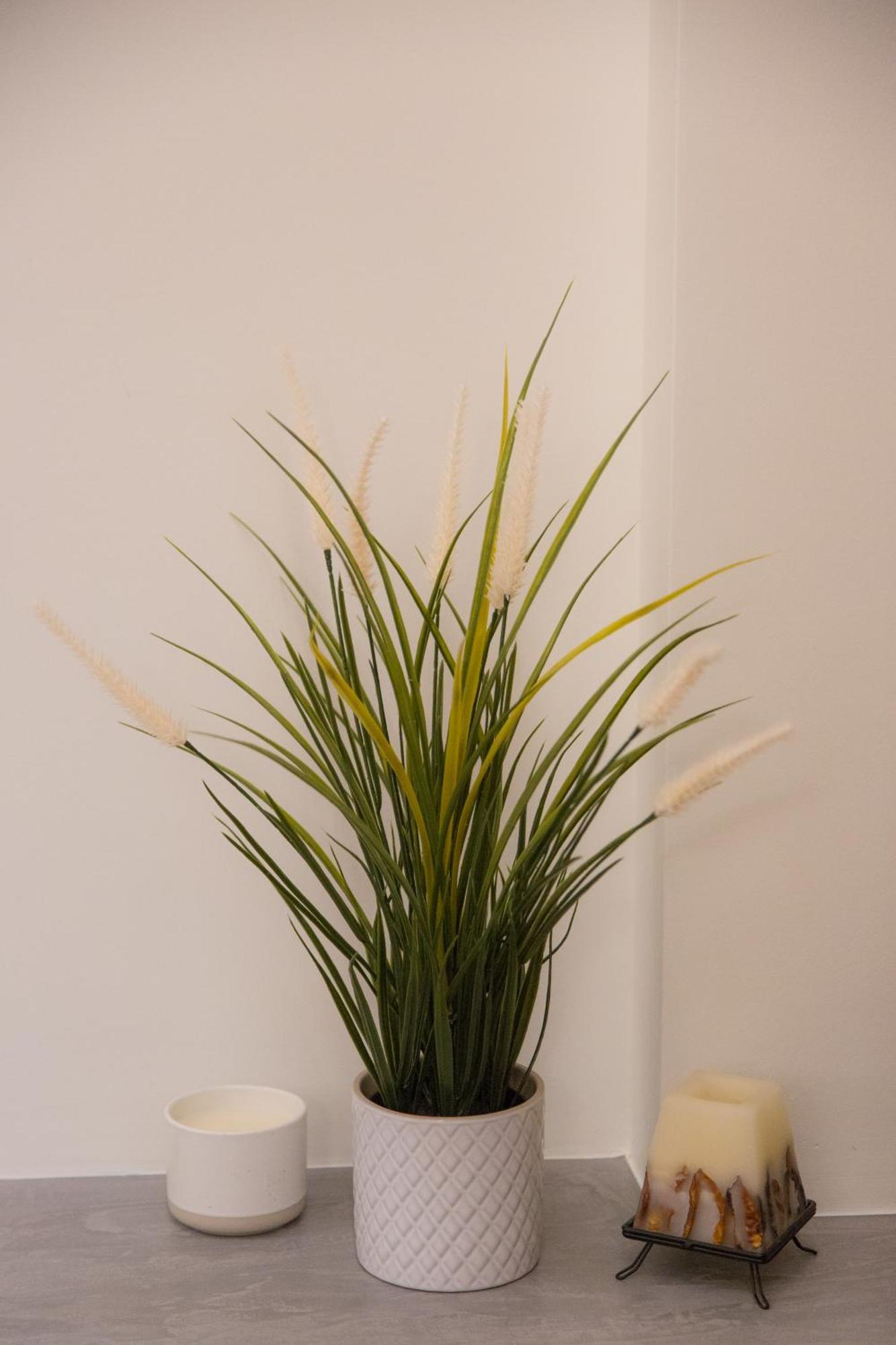 Anasa Studio - Studio Apartment With Yard - Ioannina City Center エクステリア 写真