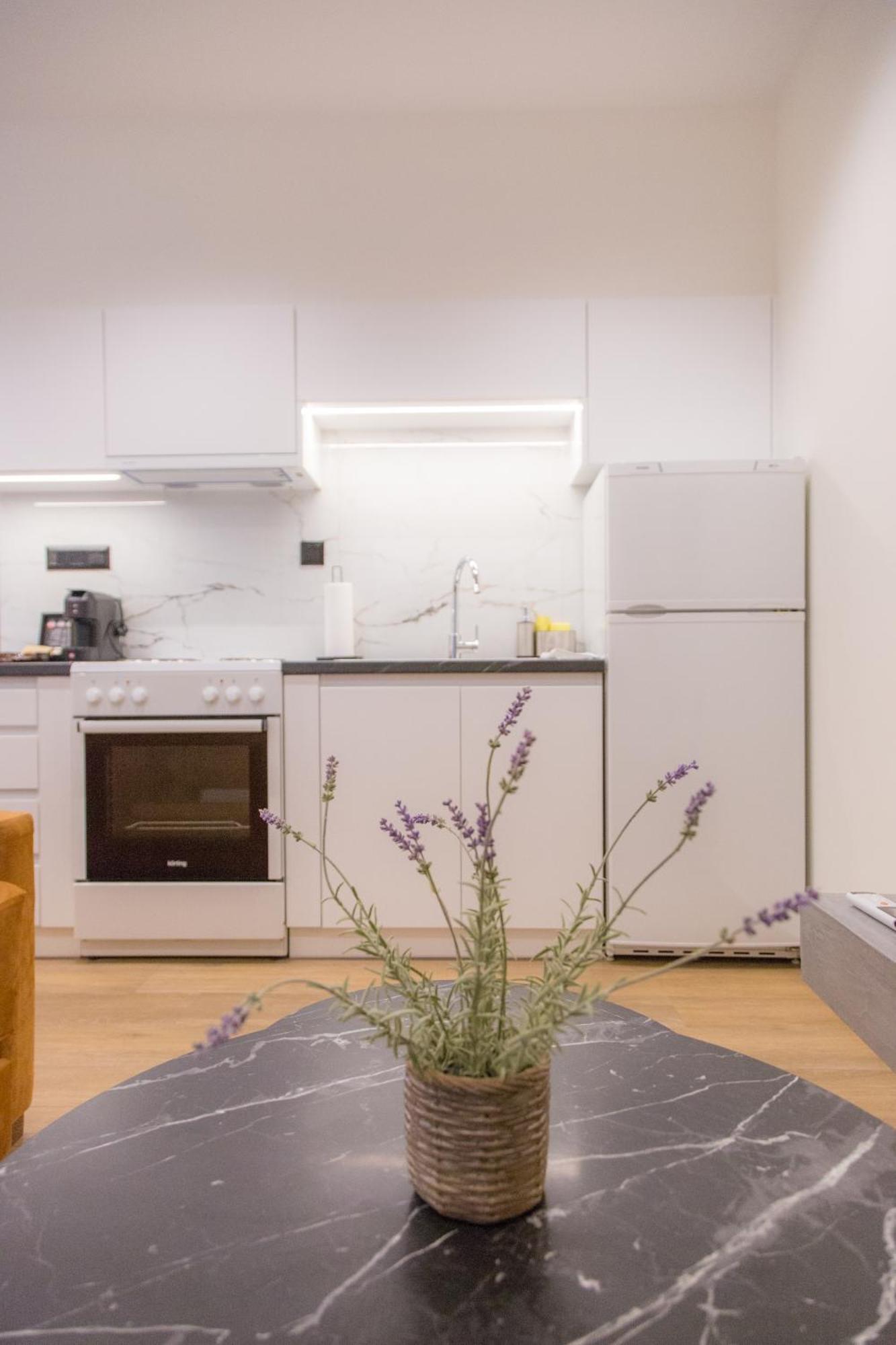 Anasa Studio - Studio Apartment With Yard - Ioannina City Center エクステリア 写真